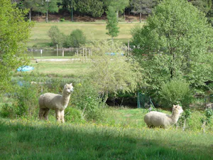 Camping Aux Portes Des Mille Sources