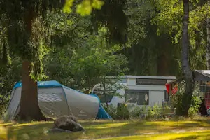 Campingzelt neben einem Wohnwagen auf einem Stellplatz im Grünen, umgeben von Bäumen und Gras.