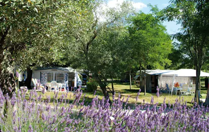 Sites & Paysages Camping Le Petit Bois