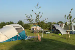 Zelte auf einem Campingplatz mit Rasenfläche, Holzpfosten und Sitzgelegenheiten zwischen den Zelten.