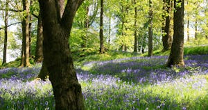 Skelwith Fold Caravan Park