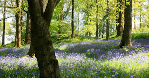 Skelwith Fold Caravan Park