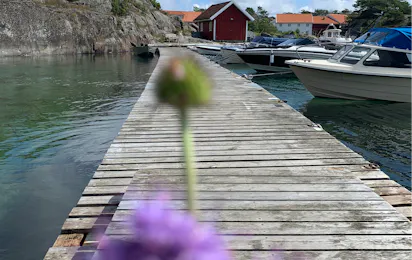 Skottevik Feriesenter