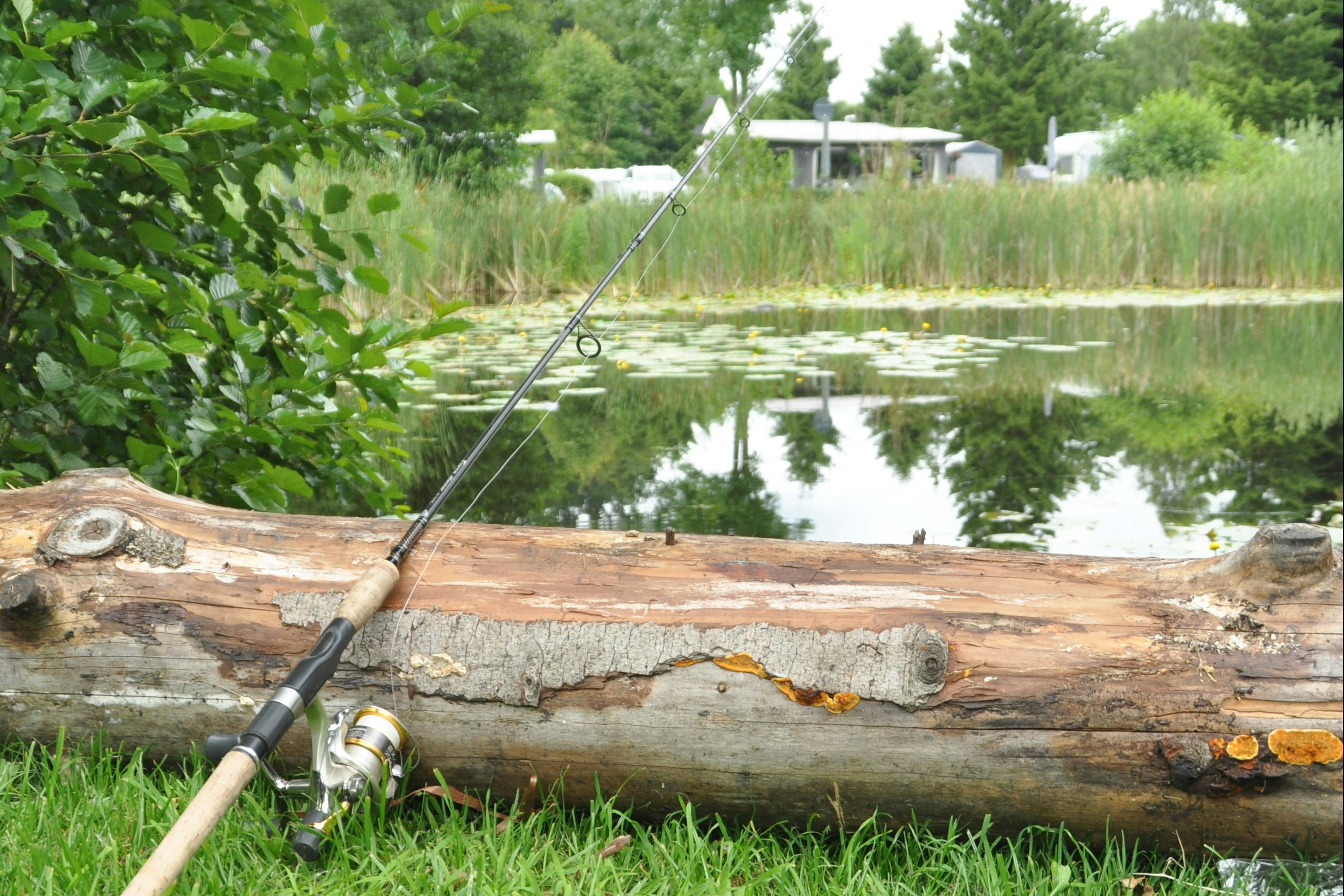 Skovly Camping - Angeln im Fischteich als Freizeitaktivität