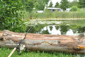 Skovly Camping - Angeln im Fischteich als Freizeitaktivität