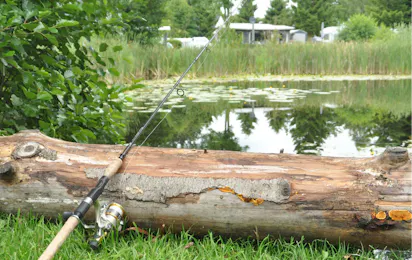 Skovly Camping