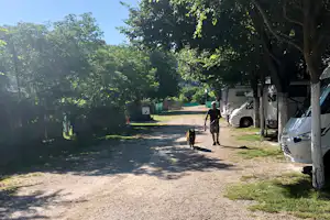Campingplatz-Allee mit Wohnmobilen am Weg, Bäume im Schatten und ein Mann mit Hund an der Leine.