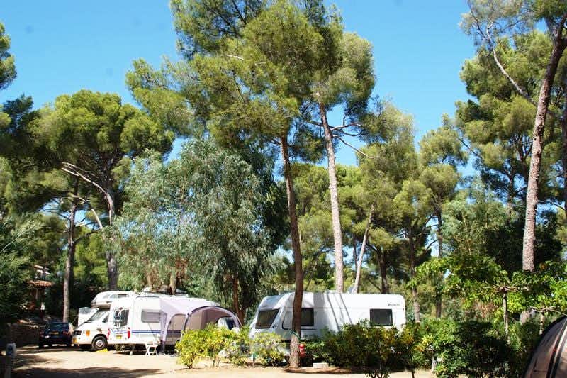 Sélection Camping  -  Wohnwagen- und Zeltstellplatz vom Campingplatz zwischen Bäumen