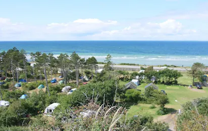 Sælvigbugtens Camping