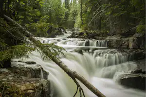 Sörälvens Fiske Camping & Stugby - Malerische Wasserfälle in der Umgebung des Campingplatzes