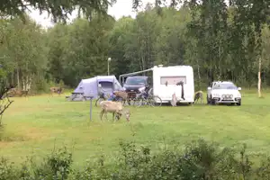 Sörälvens Fiske Camping & Stugby - Wohnmobil- und Wohnwagenstellplätze auf der Wiese