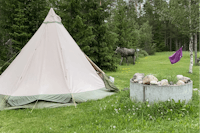 Sörälvens Fiske Camping & Stugby - Zeltwiese und Feuerstelle auf dem Campingplatz