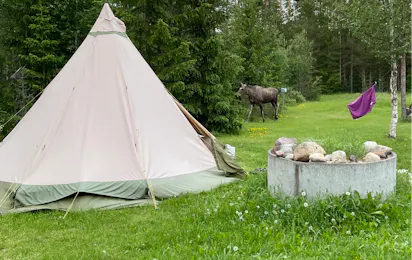 Fox and Elk Camping