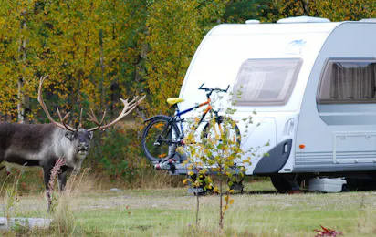 Fox and Elk Camping