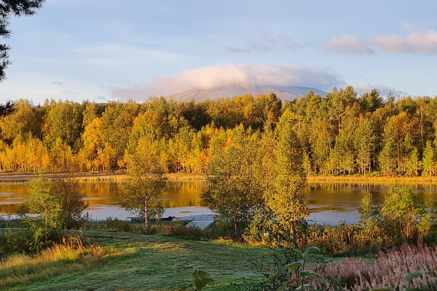 Sonfjällscampen Hedeviken - Stadnplatz auf dem Campingplatz mit Aussicht
