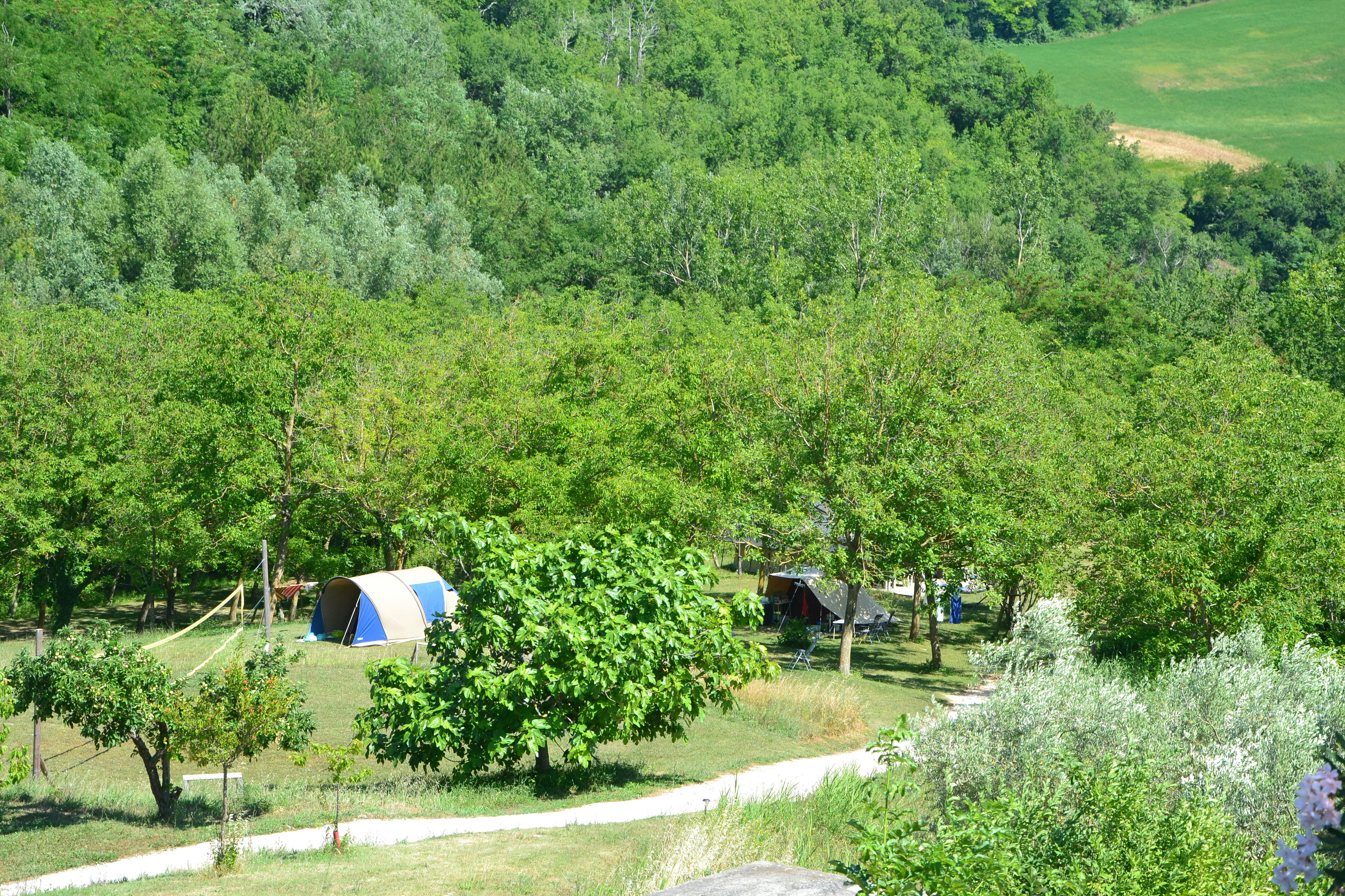 Zelt auf einem Campingplatz zwischen grünen Bäumen, mit Weg und kleinen Unterständen im Hintergrund.