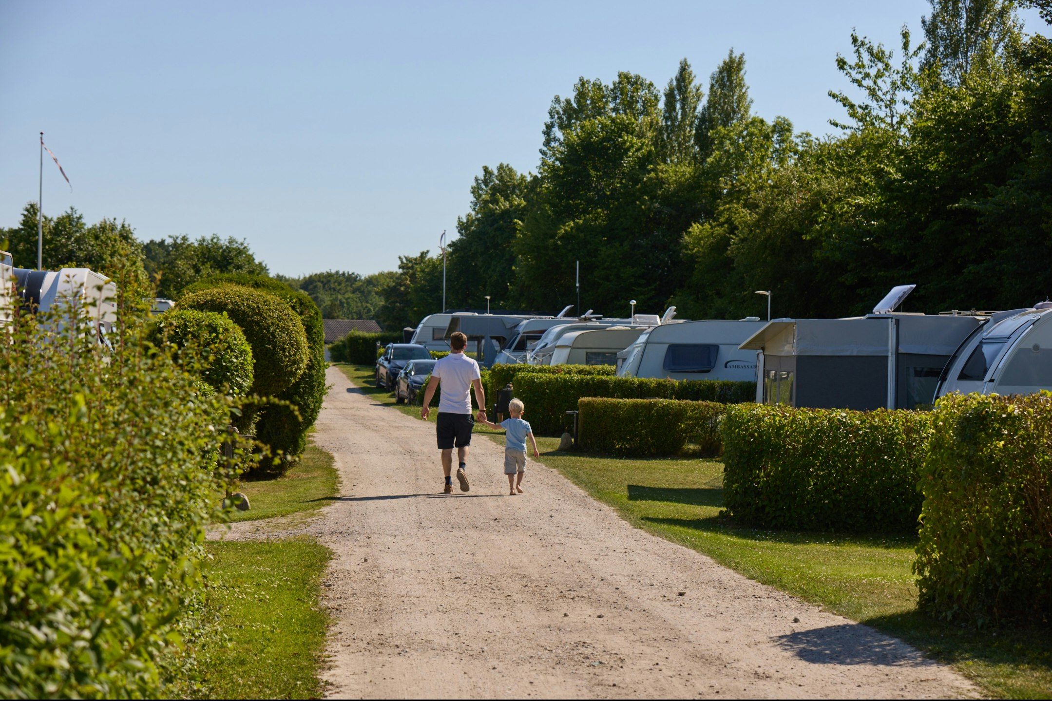 Weg im Campingplatz mit Hecken, Stellplätzen und Wohnmobilen; zwei Personen gehen Richtung Zelte und Bäume.