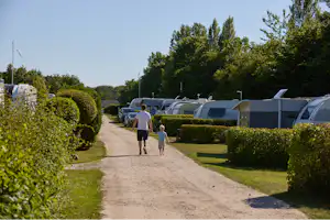 Weg im Campingplatz mit Hecken, Stellplätzen und Wohnmobilen; zwei Personen gehen Richtung Zelte und Bäume.