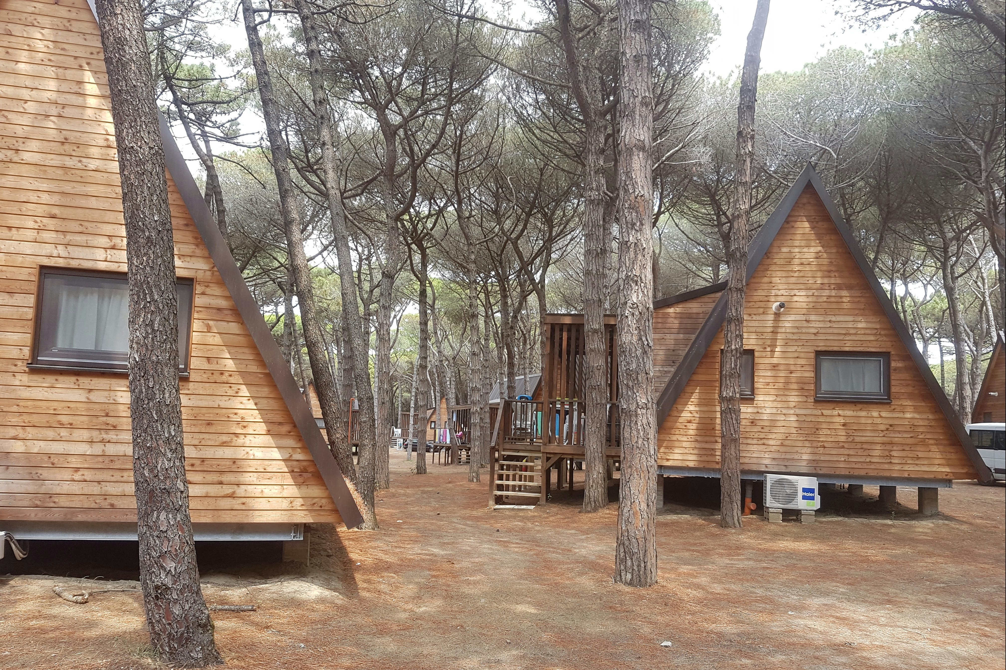 Spina Camping Village  -  Mobilheime vom Campingplatz zwischen Bäumen
