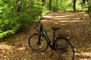 Spreewälder Seecamping Briesensee - Fahrradverleih auf dem Campingplatz