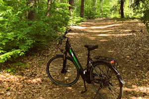 Spreewälder Seecamping Briesensee - Fahrradverleih auf dem Campingplatz