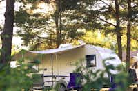 Spreewald-Natur-Camping Am See - Wohnmobil- und  Wohnwagenstellplätze im Schatten der Bäume