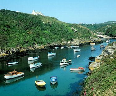 St David's Lleithyr Meadow Caravan Club