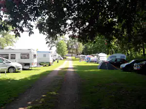 Campingplatz mit Wohnwagen und Zelten auf dem Stellplatz, schattige Bäume und ein Weg zwischen den Fahrzeugen.