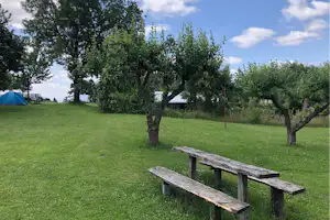 Star Camp Cosa - Obstwiese mit Zelten auf dem Campingplatz
