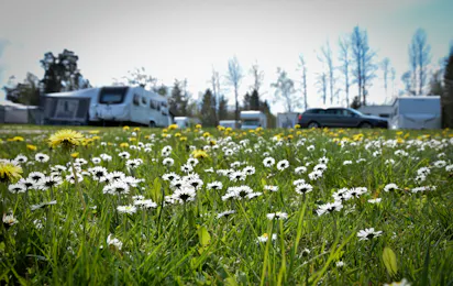 Swecamp Stenrösets Camping