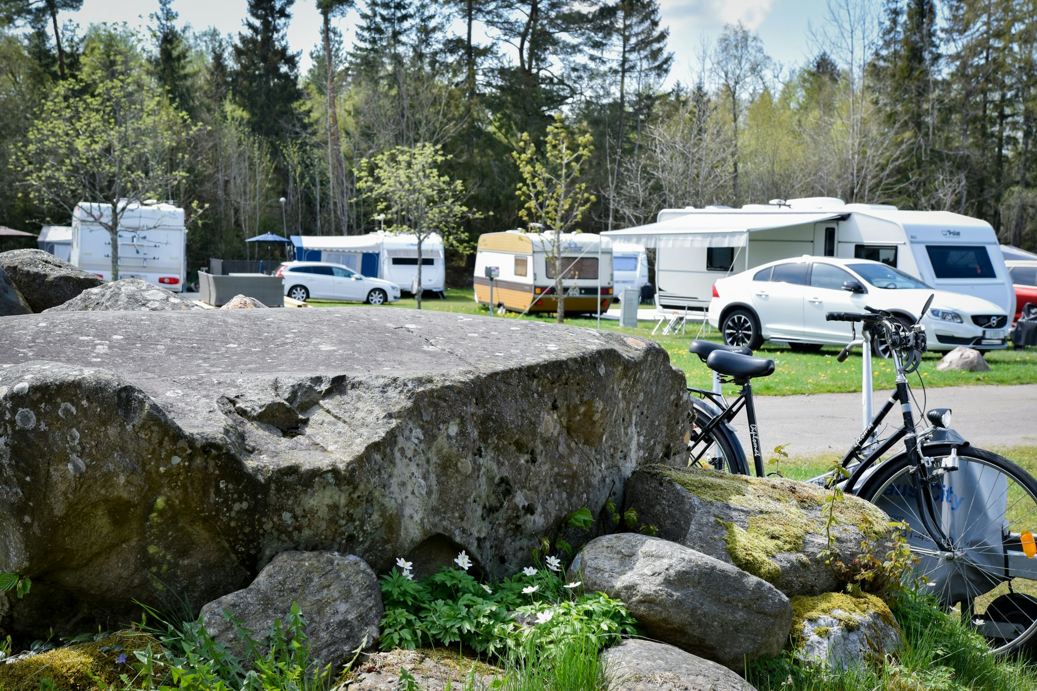 Stenrösets Camping - Stellplätze auf dem Campingplatz