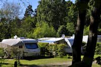 Störtebeker-Camp - Wohnwagen- und Zeltstellplatz im Grünen auf dem Campingplatz