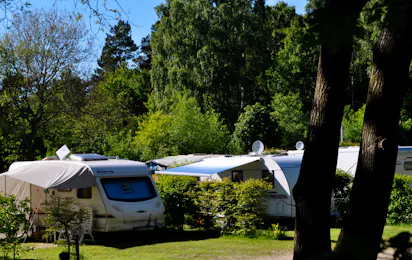 Störtebeker-Camp