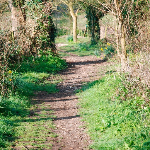 Stonehenge Camping & Glamping
