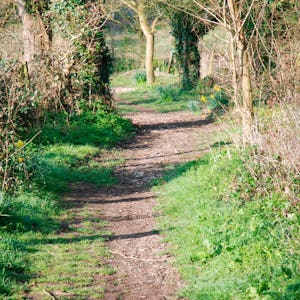 Stonehenge Camping & Glamping