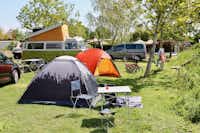 Storchen-Camp Rust  -  Wohnwagen- und Zeltstellplatz vom Campingplatz auf grüner Wiese zwischen Bäumen