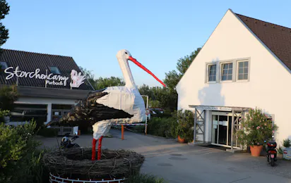 Storchencamp Purbach