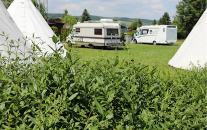 Storchencamp Purbach