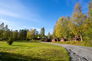 Grüne Wiese mit Kiesweg, dahinter rote und braune Ferienhäuser und Bäume unter klarem blauen Himmel.