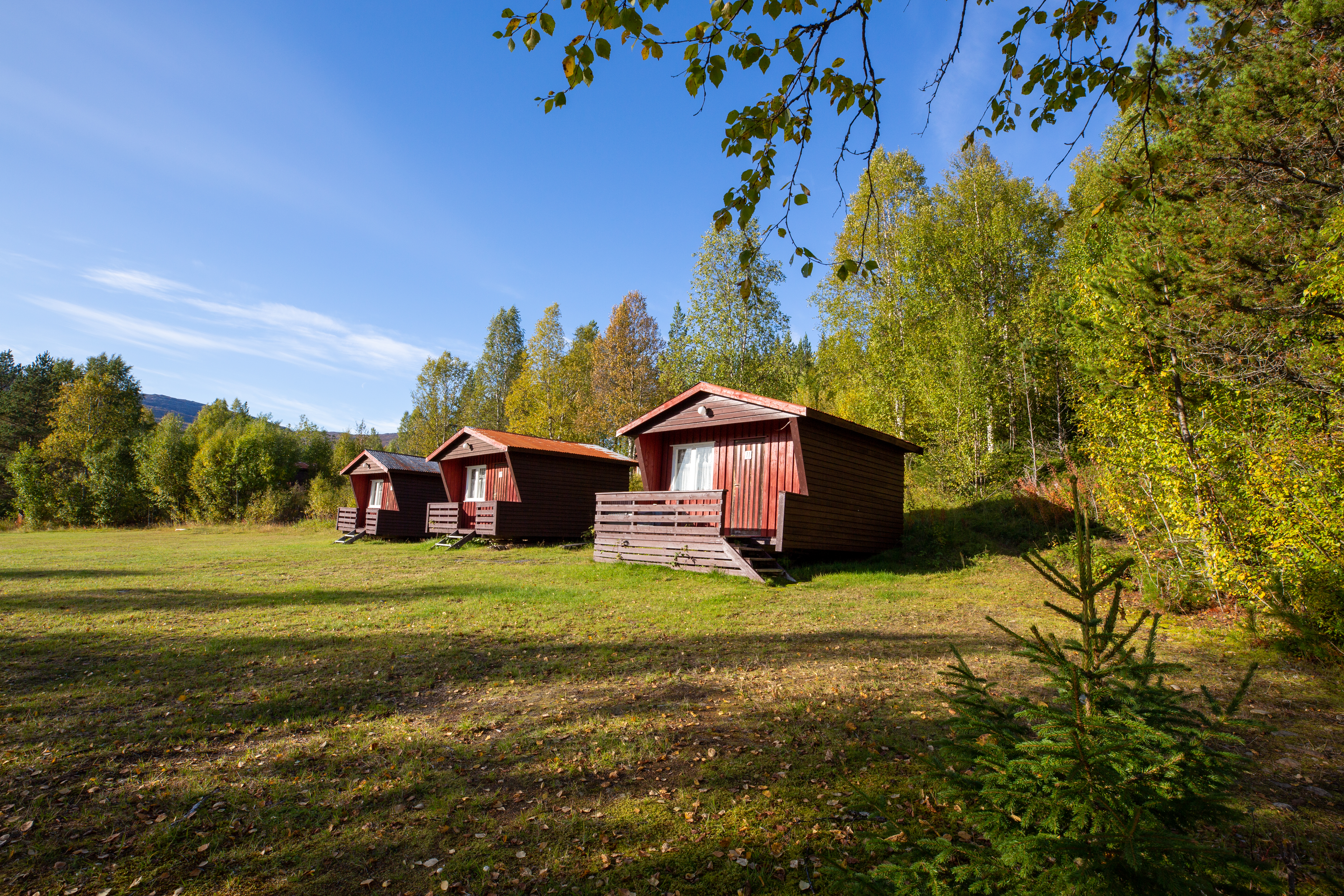 Storforsen Camping - Mietunterkuenfte - 3.jpg