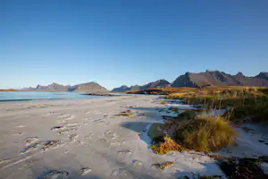 Sandige Uferlandschaft am See mit Schilf und Bergen in der Ferne, klarer Himmel.