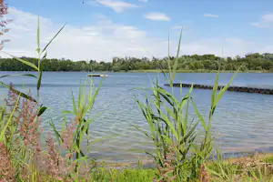 Strandbad & Camping Oderbruch - Badeplattform