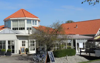 Dennenbos