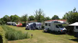 Dennenbos