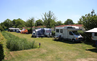 Dennenbos