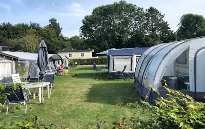 Dennenbos