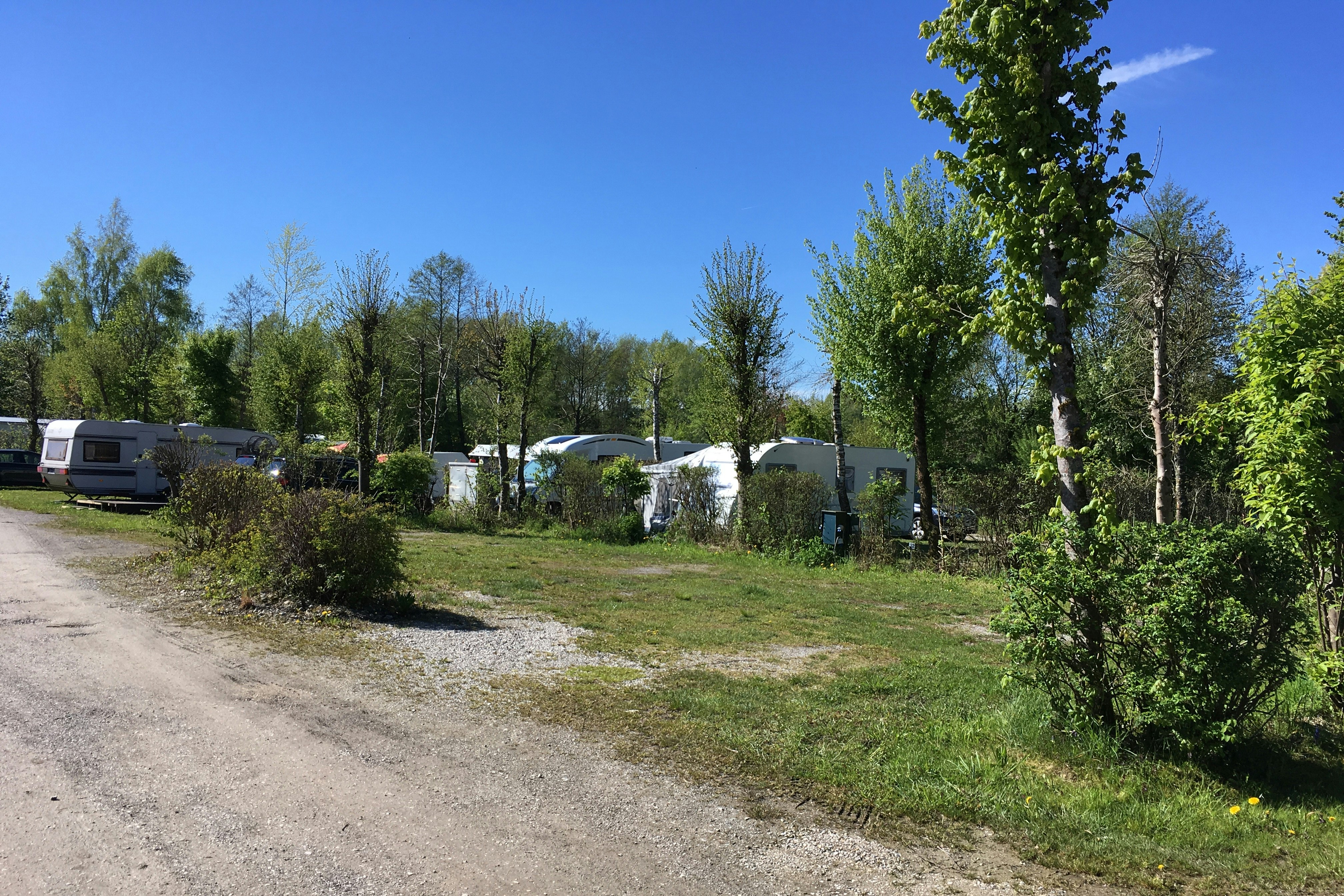 Strandcamping Seekirchen - Stellplätze im Schatten unter Bäumen am See auf dem Campingplatz