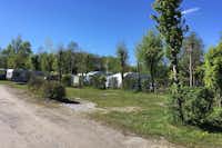 Strandcamping Seekirchen - Stellplätze im Schatten unter Bäumen am See auf dem Campingplatz