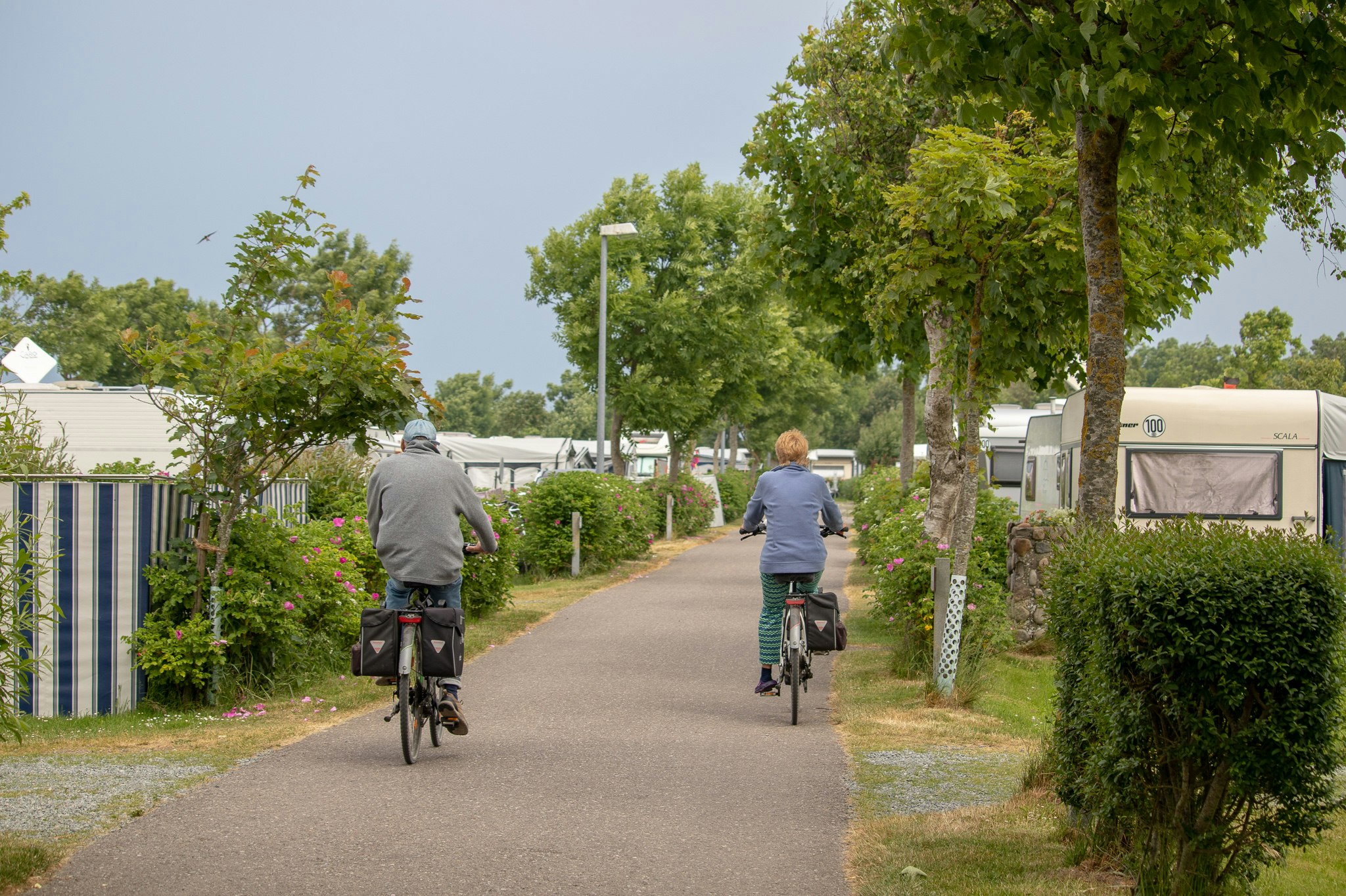 Strandcamping Wallnau - Camper fahren Fahrrad auf den Wegen zwischen den Standplätzen