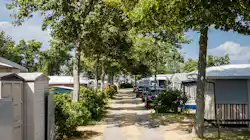 Strandcamping Wallnau
